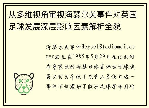 从多维视角审视海瑟尔关事件对英国足球发展深层影响因素解析全貌